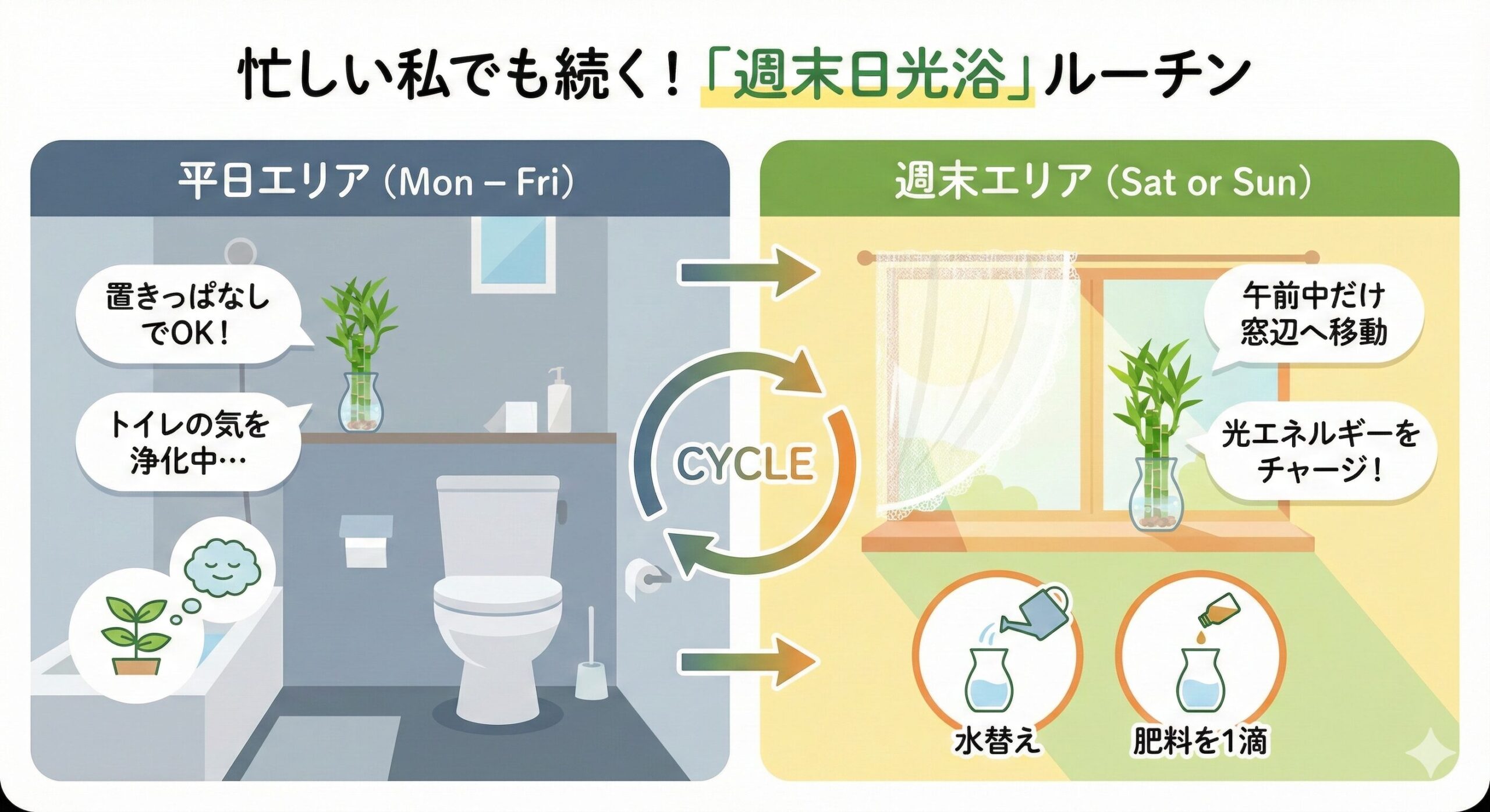 平日はトイレに置き、週末だけ窓辺で日光浴させる1週間の管理ルーチンを示したカレンダー風イラスト。