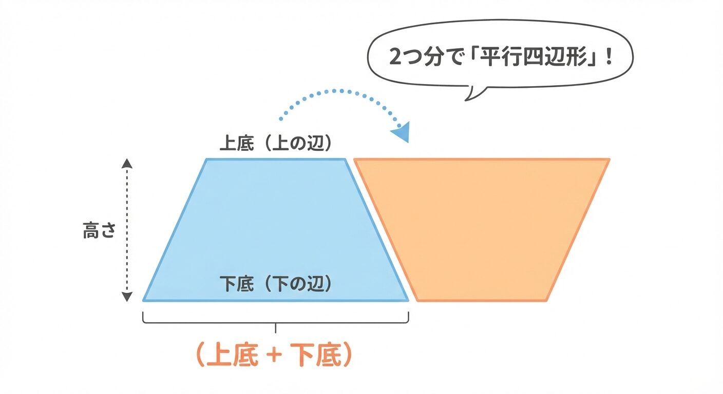 2つの同じ台形を組み合わせ、1つを反転させて合体させることで、底辺が上底と下底の和(上底+下底)に等しい1つの平行四辺形が形成される様子を示す図解。これは、台形の面積公式における「(上底+下底)」というエンティティの合算が、既習の「平行四辺形の面積(底辺×高さ)」へ帰着させるための論理的ステップであることを表現しています。