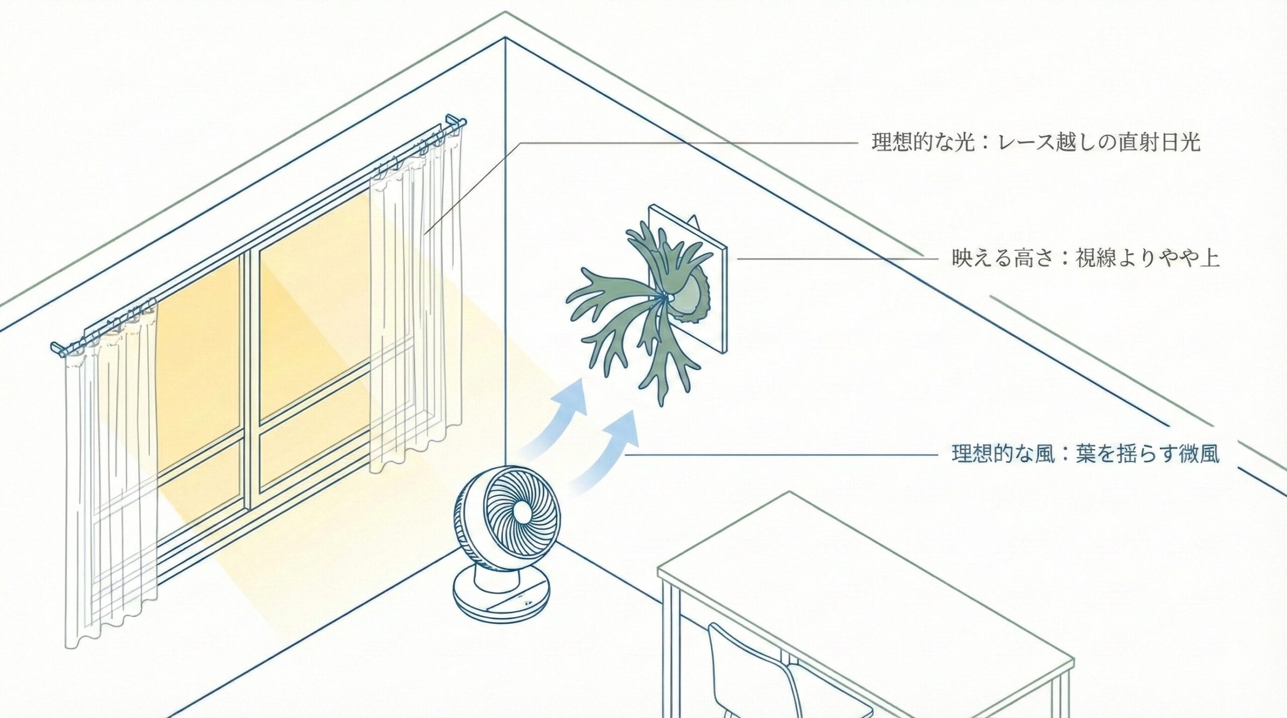 デザイナーのワークスペースにおけるコウモリランの理想的な配置図。サーキュレーターによる風が徒長を防止し、レース越しの光が健康な成長を促すという「原因と結果」の法則に基づいた、インテリアと健康の両立レイアウトを示しています。